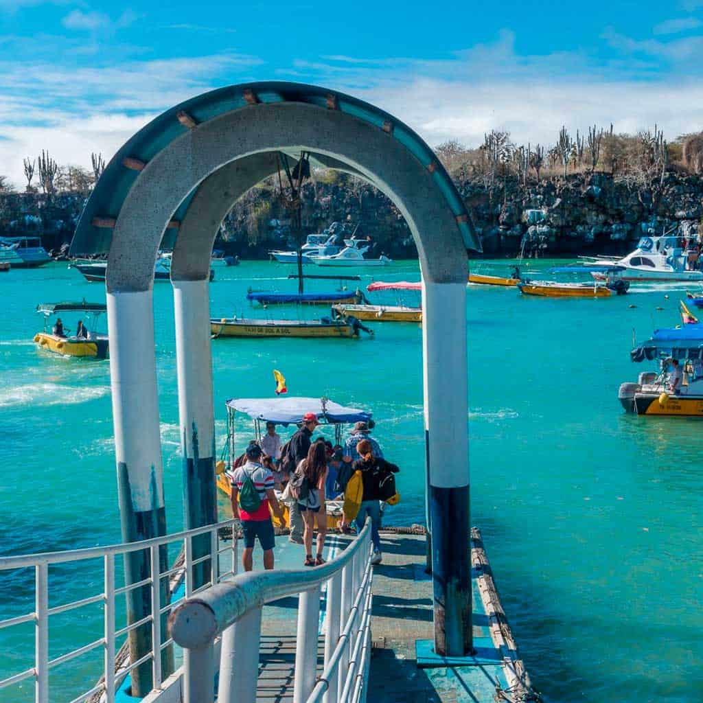 Ilha de Santa Cruz