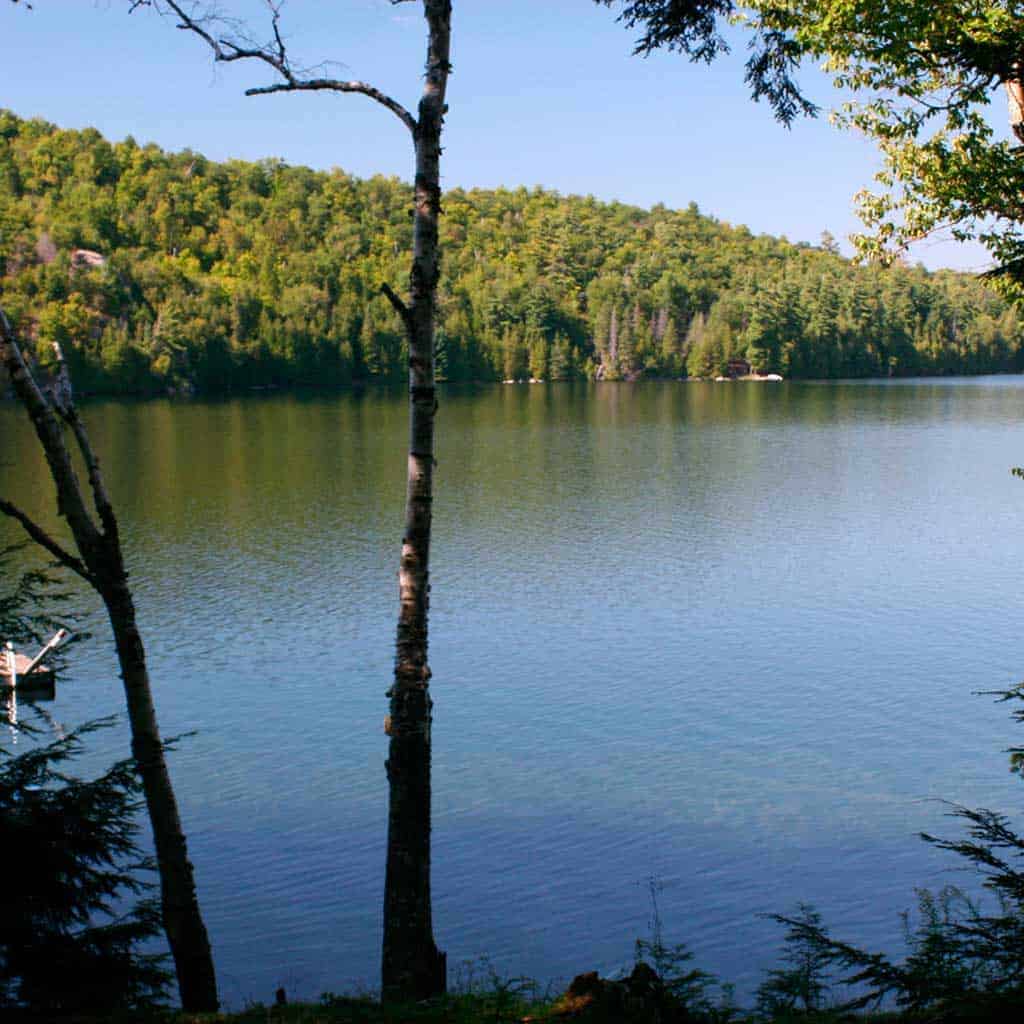 Plevna
