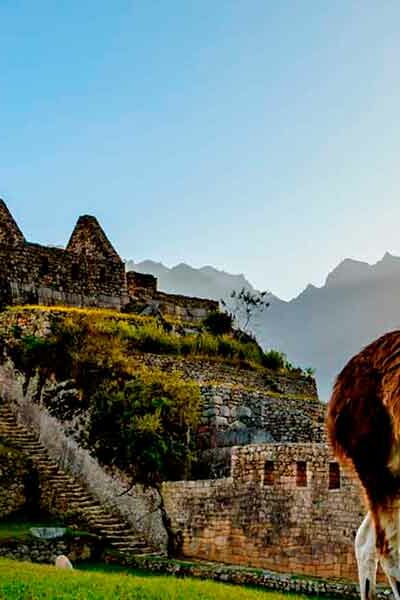 Peru (Lima + Cusco) 2021 – 2° Semestre