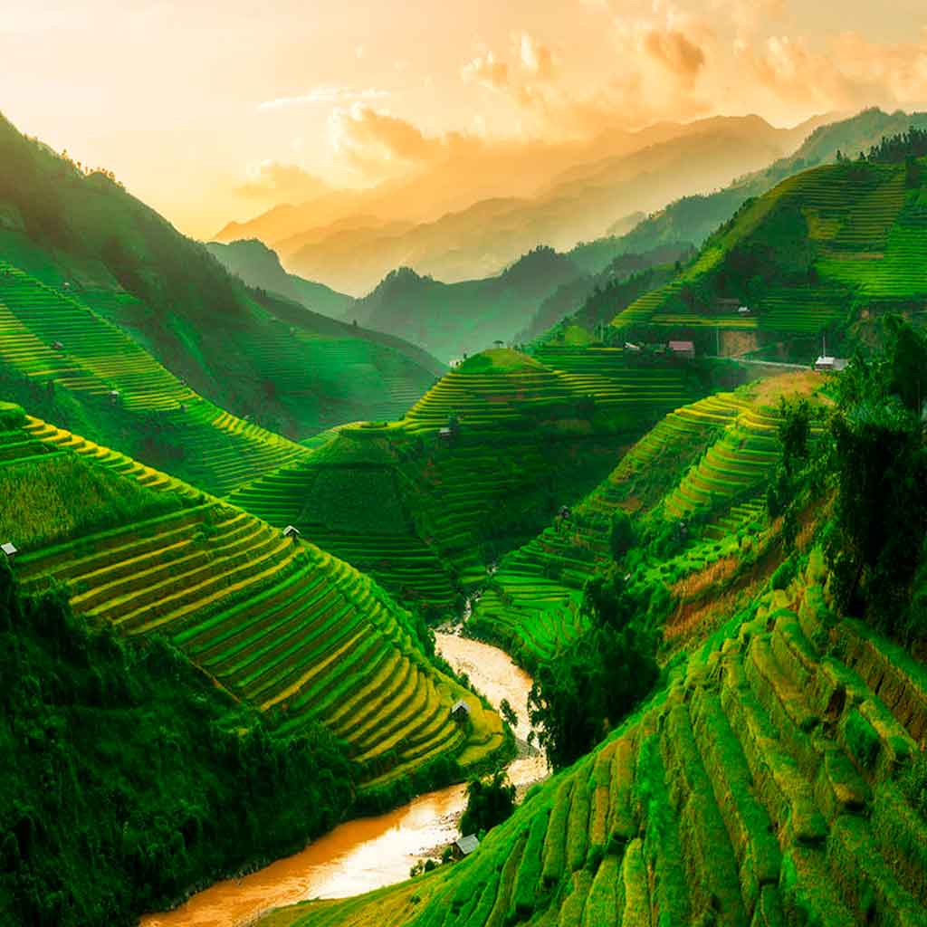 Sapa