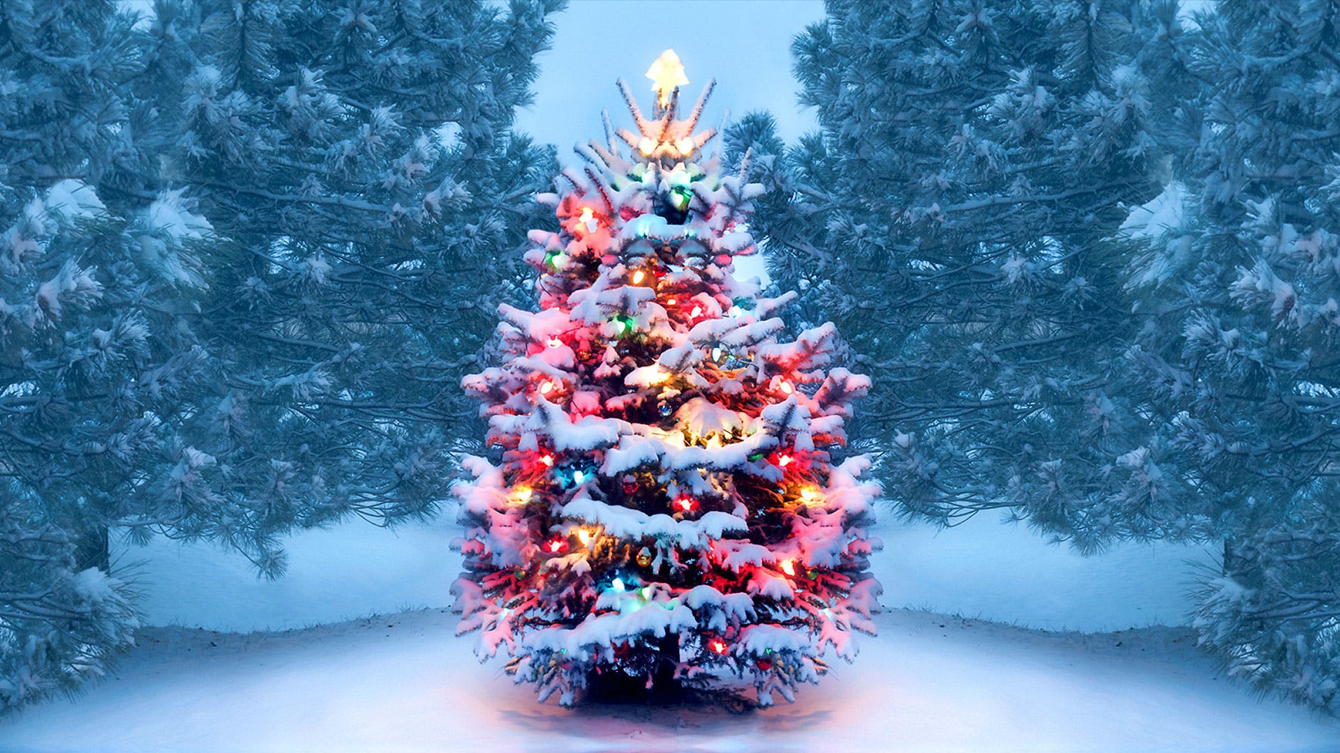 Top 5 lugares para viajar no natal