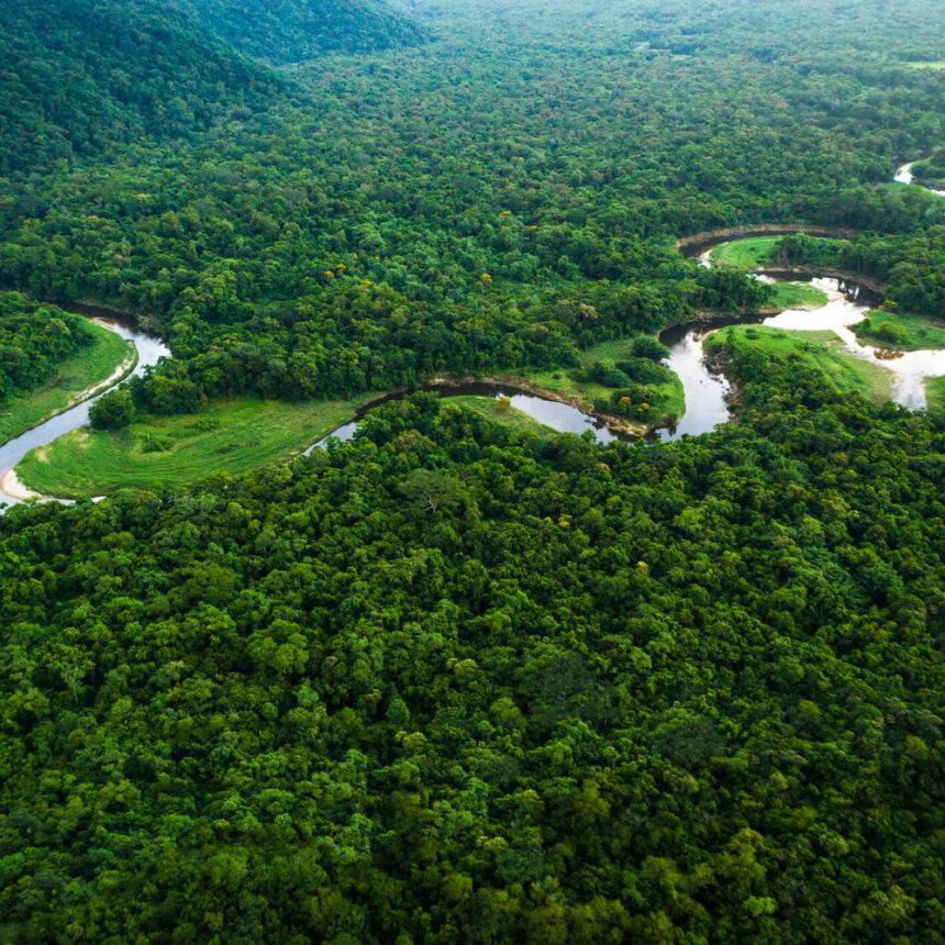 5 motivos para conhecer a Amazônia