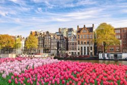 Amsterdam (Holanda) – 2024