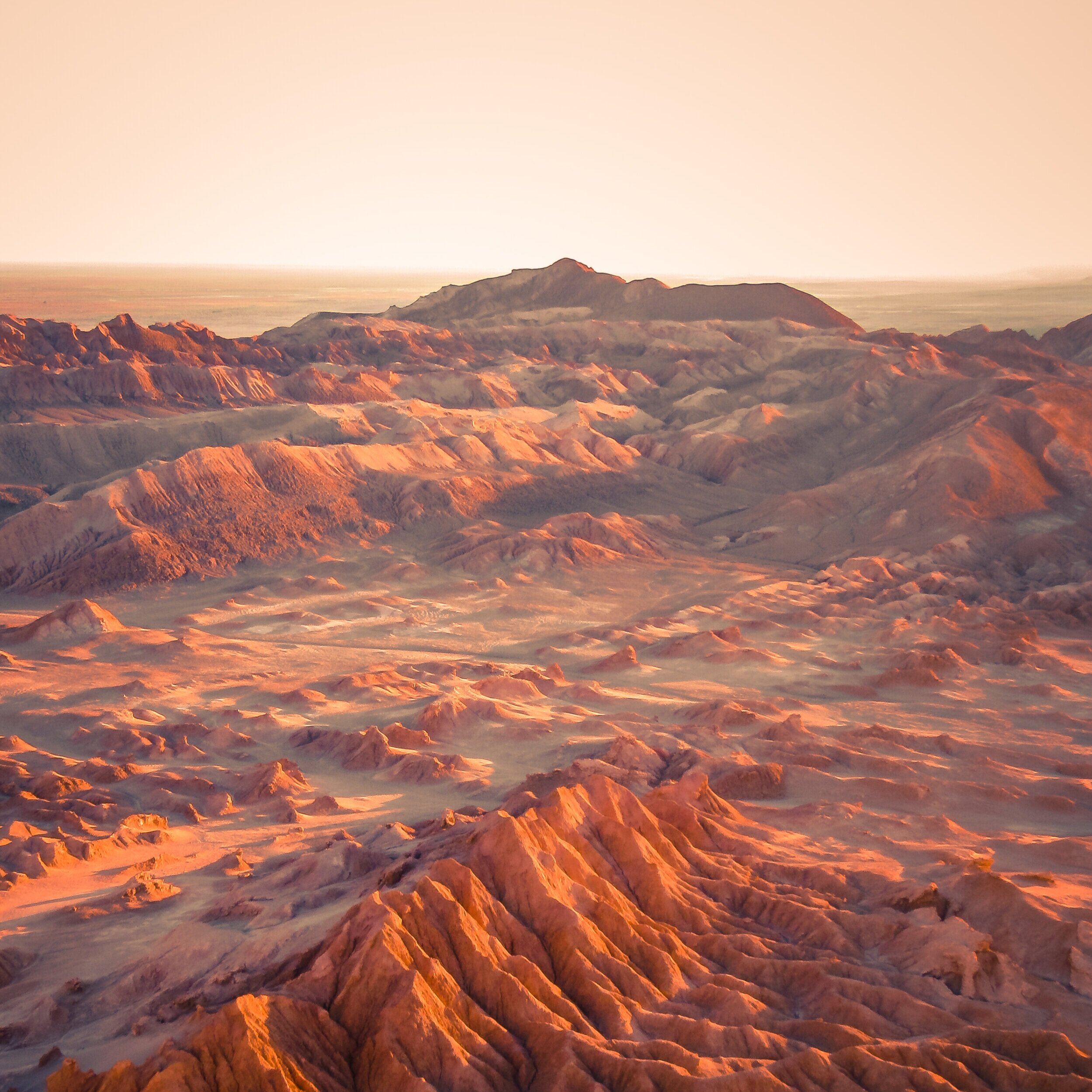 Arica