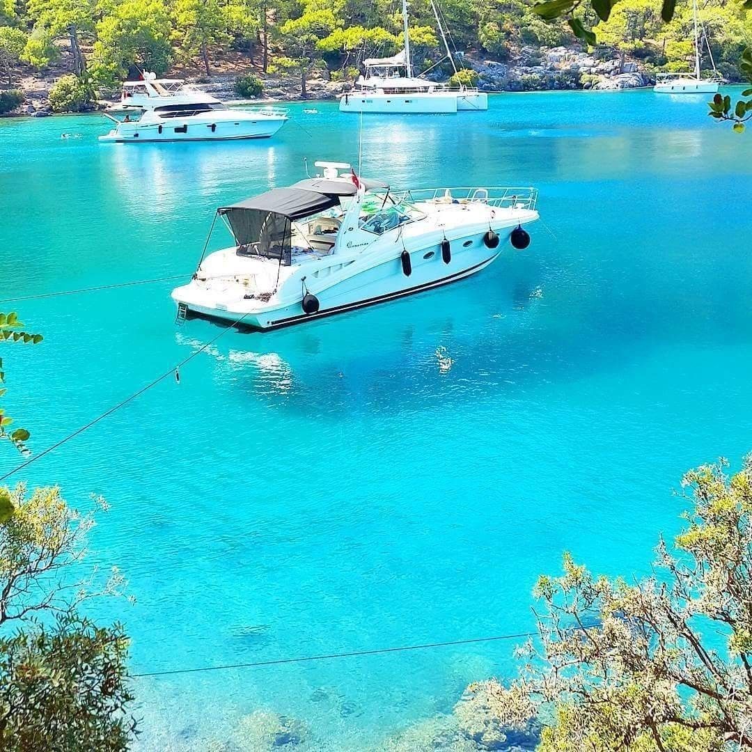 Gocek