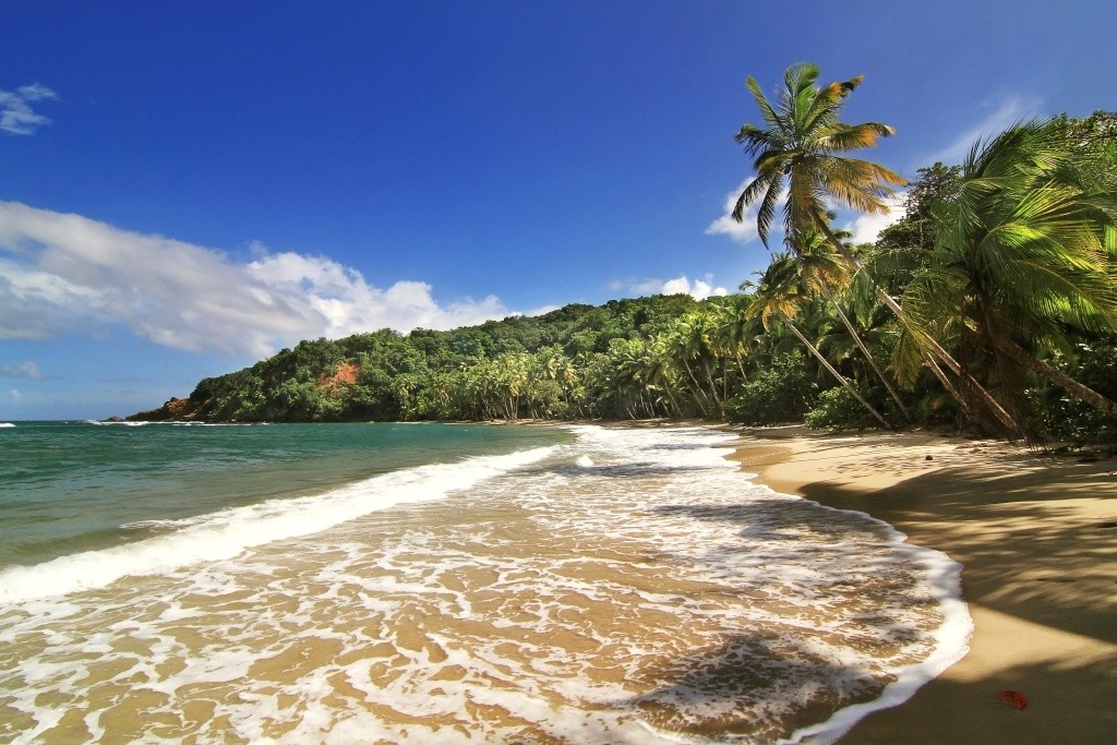 Dominica