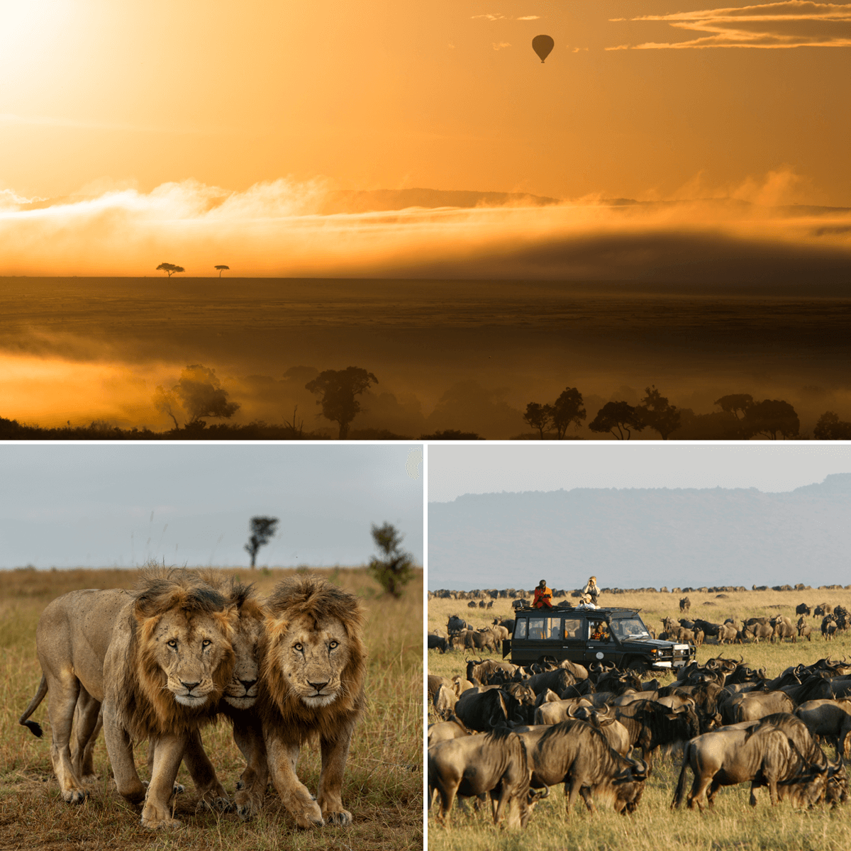 Masai Mara