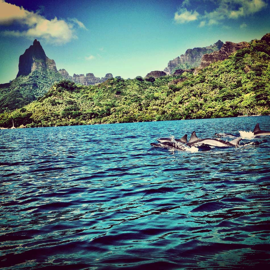 Moorea