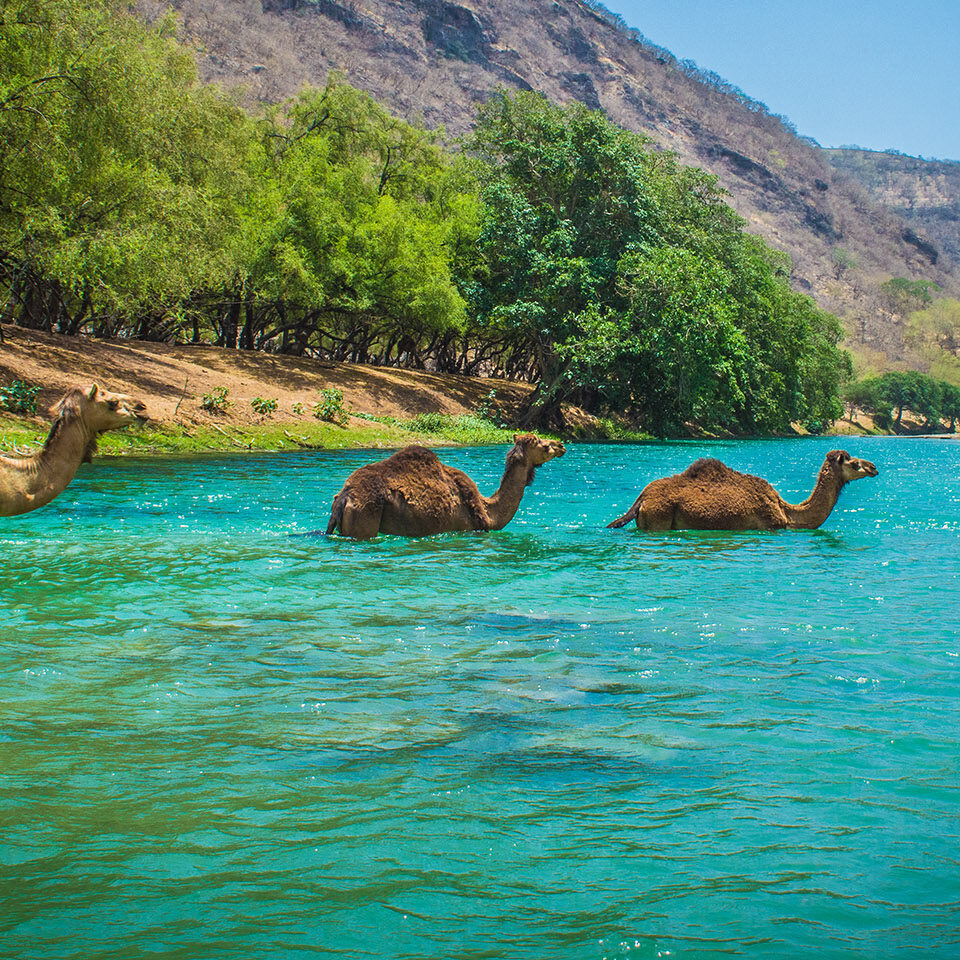 Salalah