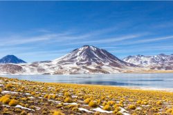 Atacama (San Pedro – Chile) – 2023