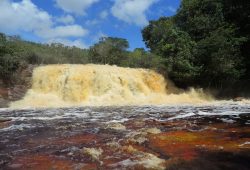 Amazônia (Manaus + Cachoeiras de Presidente Figueiredo) – 2022