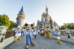 Resort Disney – Segundo Semestre 2023