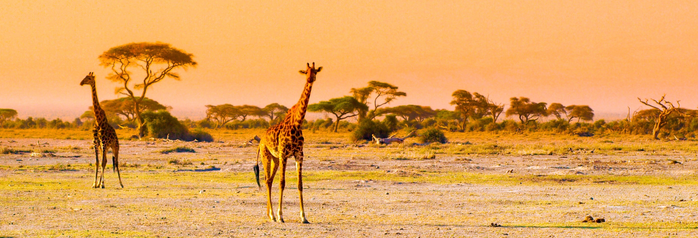 Amboseli