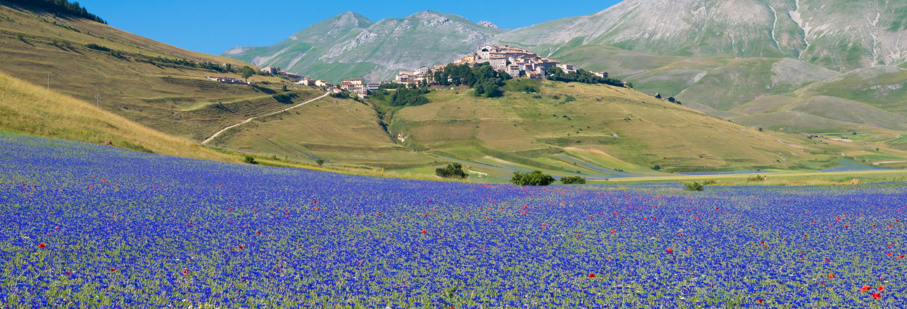 Castelluccio di Norcia